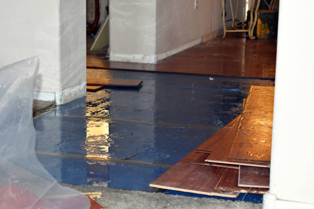 Professional Sewage Cleanup technician working in Hudson, TX